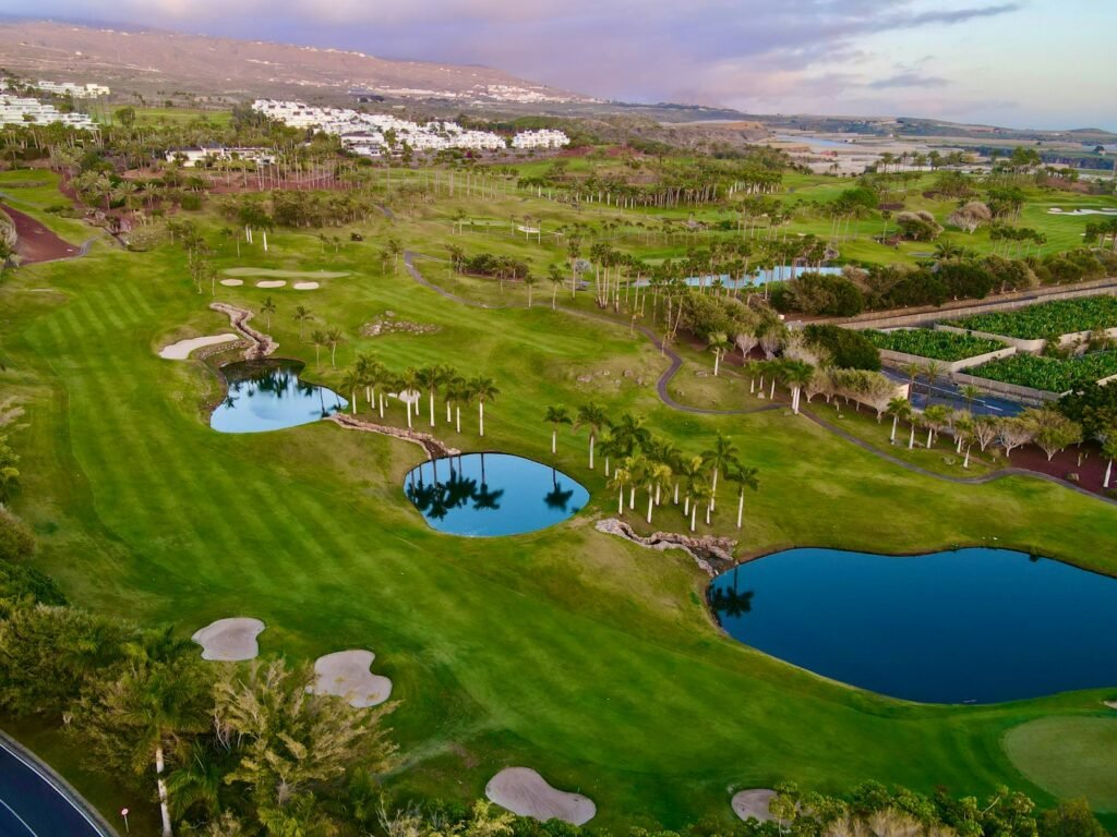 Golf course with palm trees